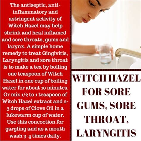 The Benefits of Witch Hazel for Sores: What You Need to Know